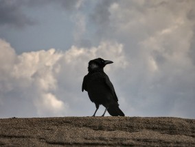 和平之路，俄乌战争的结束关键